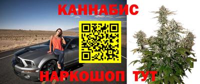 Альфа ПВП Пыть-Ях
