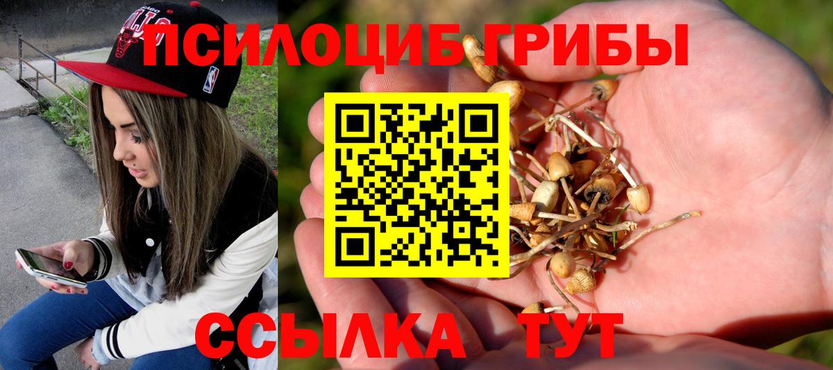 Псилоцибиновые грибы GOLDEN TEACHER  Псилоцибиновые грибы Psilocybe  Нижний Тагил  Вход с VPN 