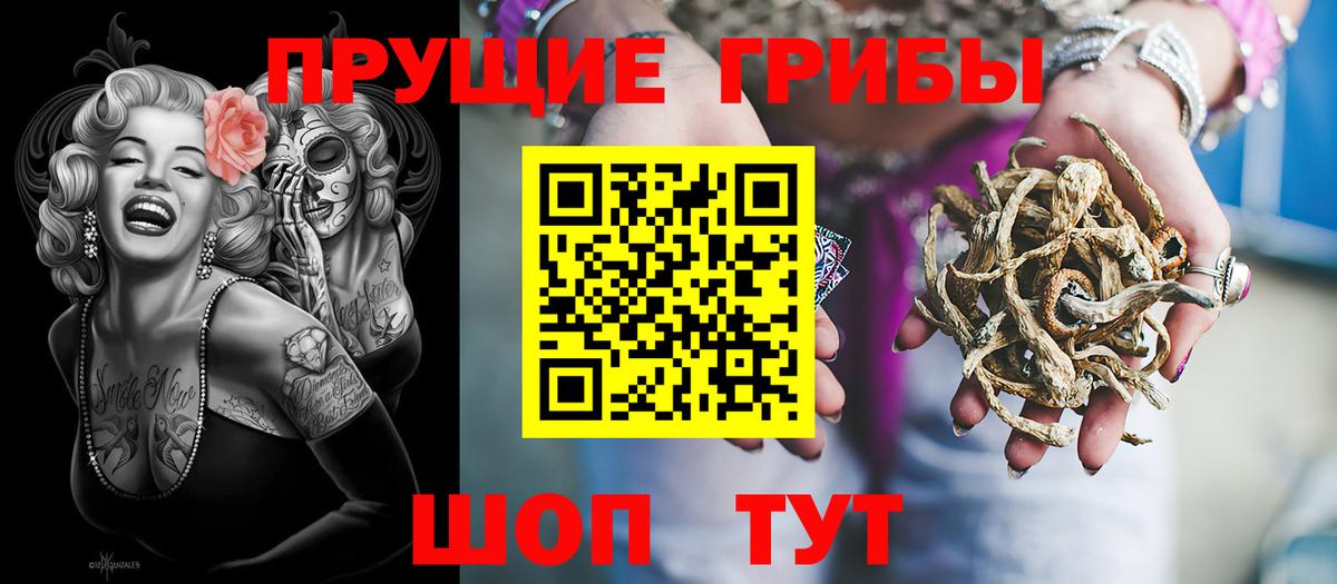 Псилоцибиновые грибы мицелий Нижний Тагил